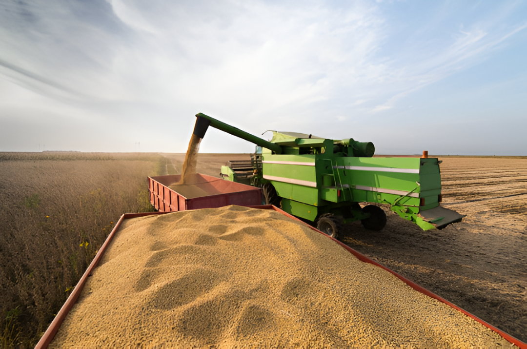 Acumulado de soja industrializada suma más de 2,3 millones de toneladas hasta agosto