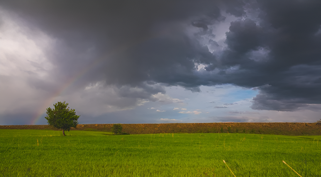 Nuevo sistema del MAG busca anticipar lluvias y condiciones climáticas para el sector agropecuario