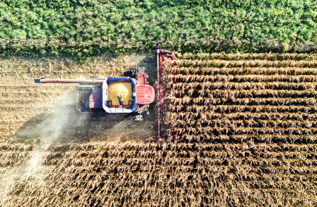El campo, las industrias y los servicios sostienen el crecimiento económico del mes, según IMAEP