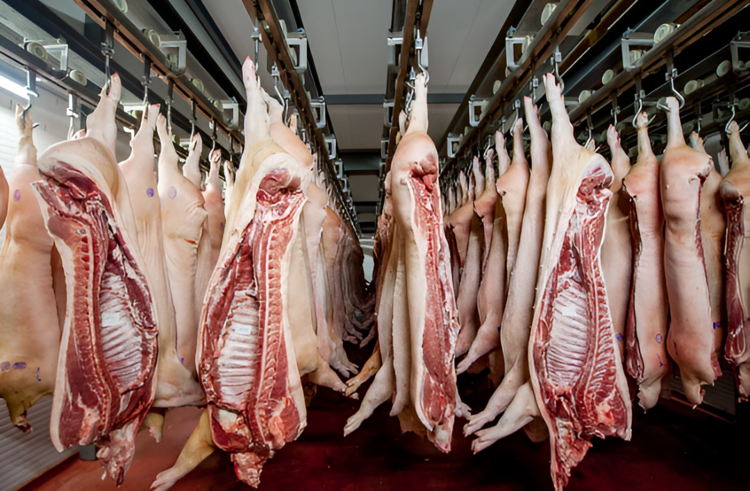 La cadena cárnica suma presión con el plan de acercar mataderos a cada zona del país