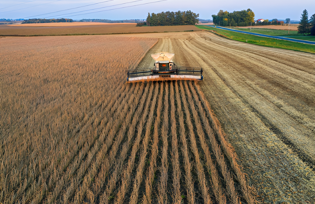 El procesamiento de soja impulsa a la agroindustria en un año de menor exportación del grano