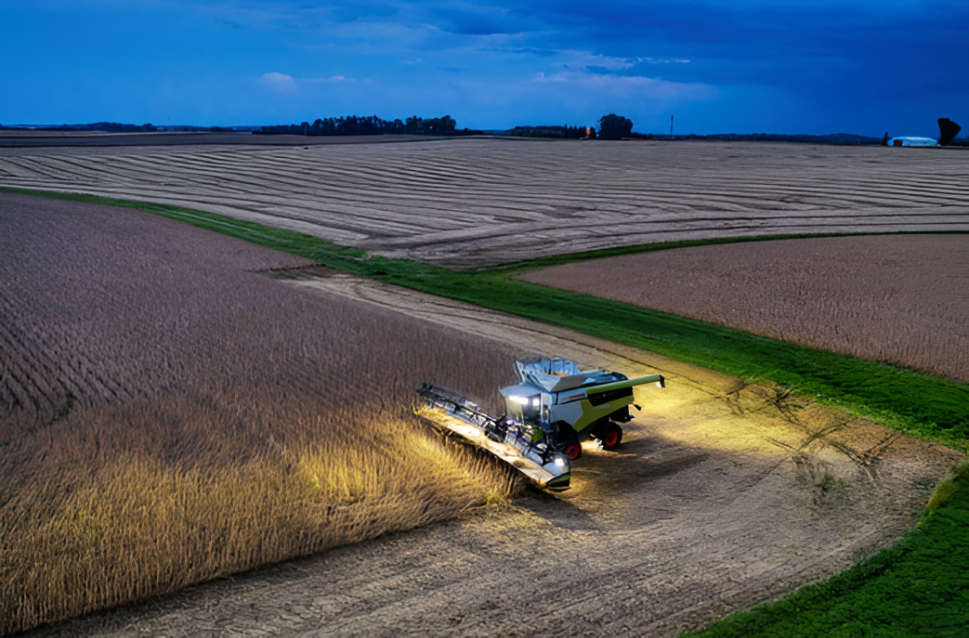Las cotizaciones de la soja aceleraron en noviembre y terminaron el mes en alza