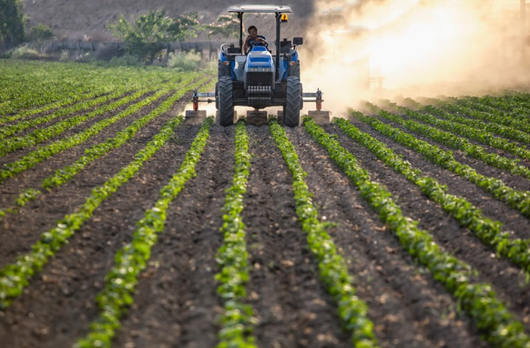 El campo cuestiona una decisión de la Unión Europea que agrega dudas al comercio exterior