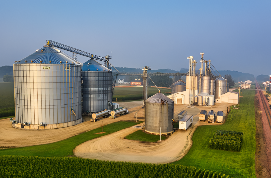 Hubo menos soja en los silos este año y el impacto llegó al comercio exterior