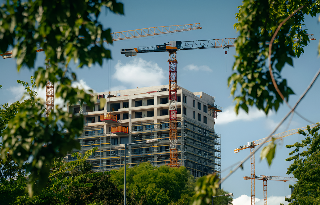 El campo, la energía y la construcción empujaron la economía a fin de año, BCP