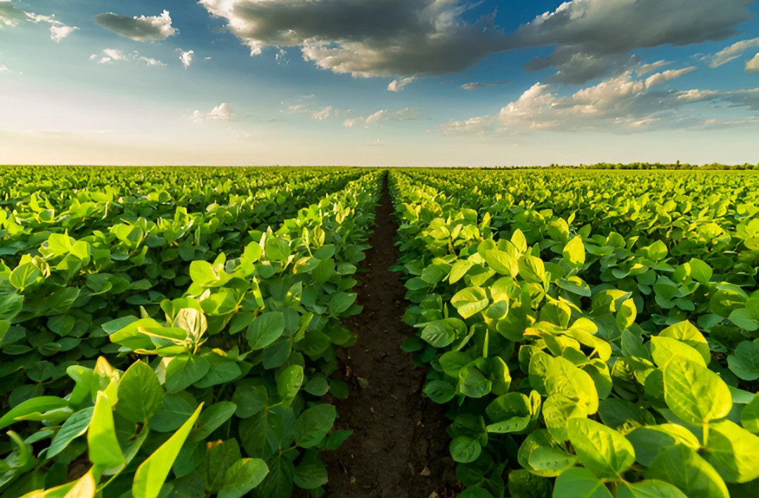 Productores ponen el foco en las condiciones que rodean el acuerdo con Europa