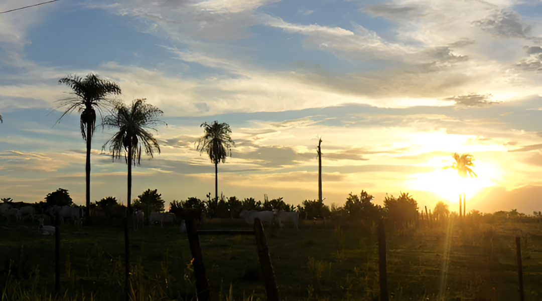 El turismo internacional en Paraguay crece más del 90% y marca un salto histórico en 2025, dice SENATUR