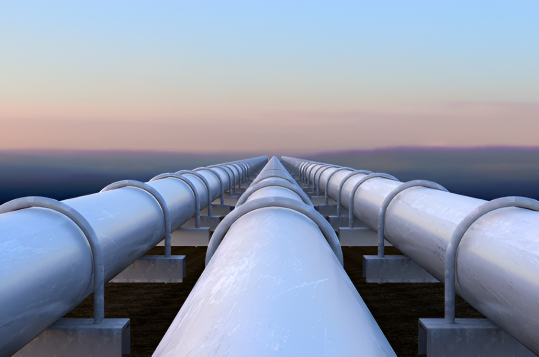 Un megaproyecto de gas busca cruzar el Chaco y conectar Argentina con Brasil