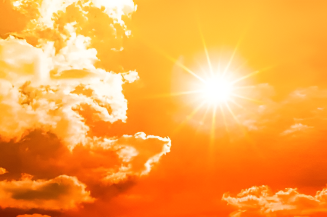 El campo entra en días críticos con temperaturas altas y reservas de agua cada vez más cortas, MAG