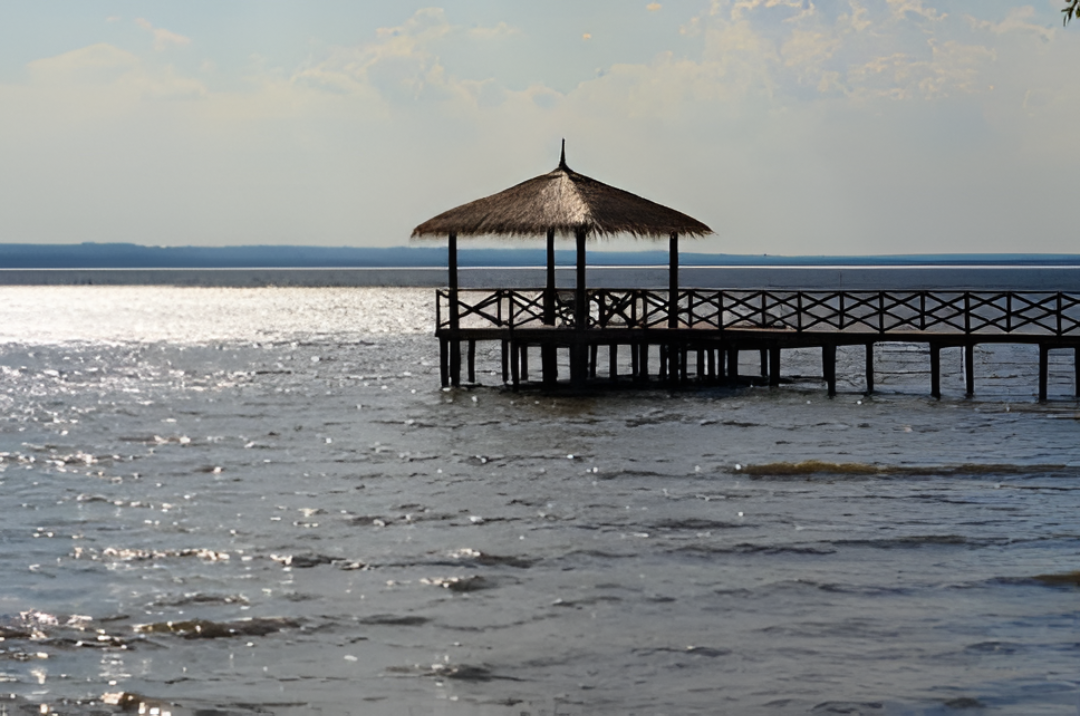 El turismo interno empujó enero con alta ocupación hotelera y rutas cargadas, dice SENATUR