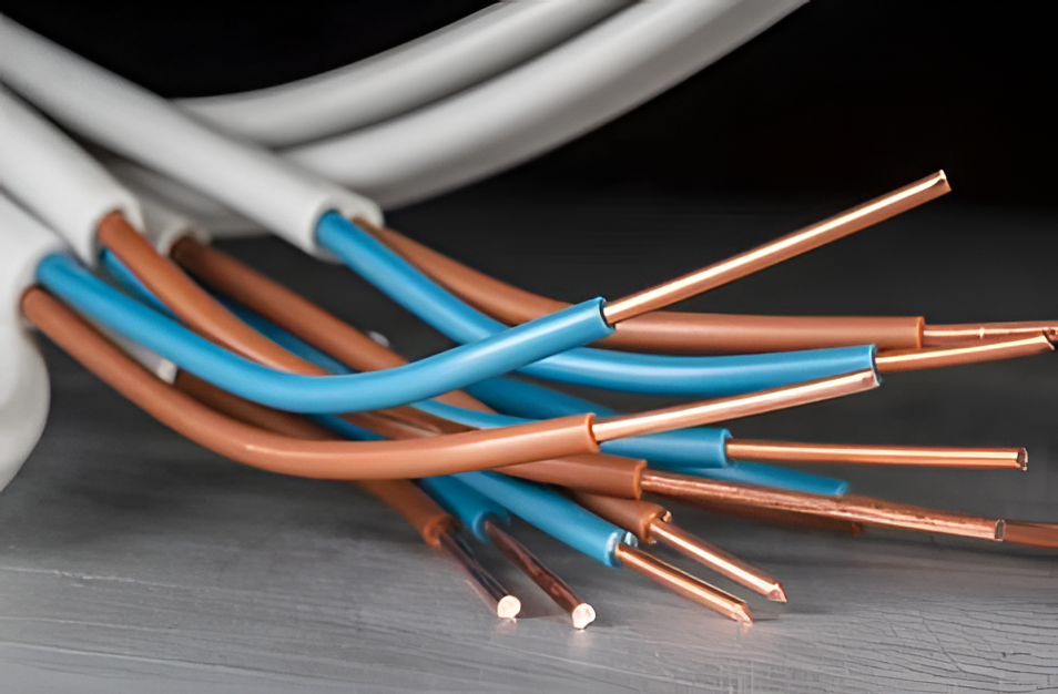 Maquila supera los USD 112 millones en enero y Brasil concentra casi el 70% de los envíos