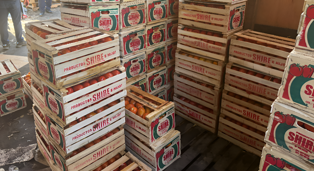 Más de 11.000 kilos de tomate fueron decomisados en operativos en el Mercado de Abasto y rutas