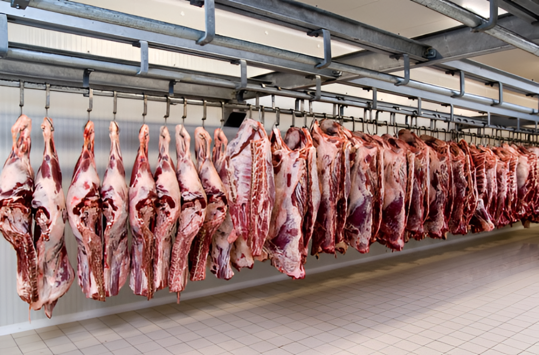 Faena bovina en Paraguay cae 35,4 % en enero y marca el arranque más bajo de los últimos meses