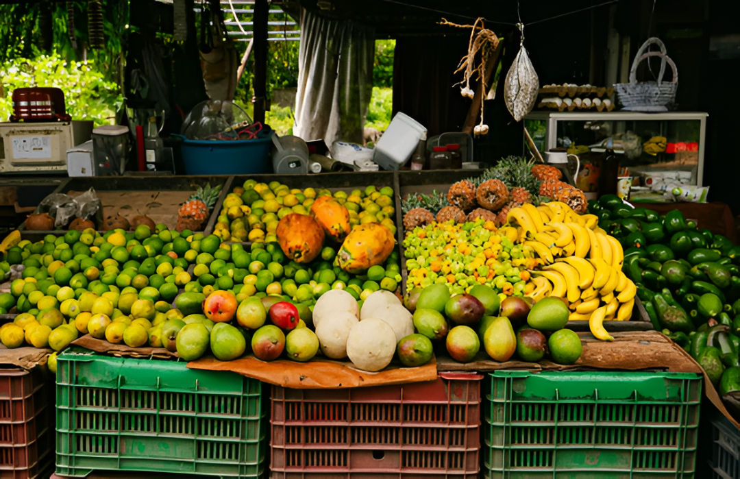 Carne, frutas y cereales empujan a la baja los precios al productor en enero, dice BCP