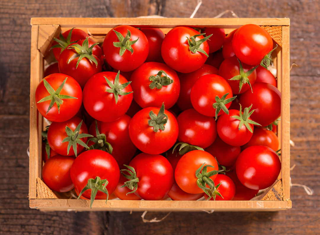 Gobierno habilita por una semana la importación de tomate ante fuerte demanda