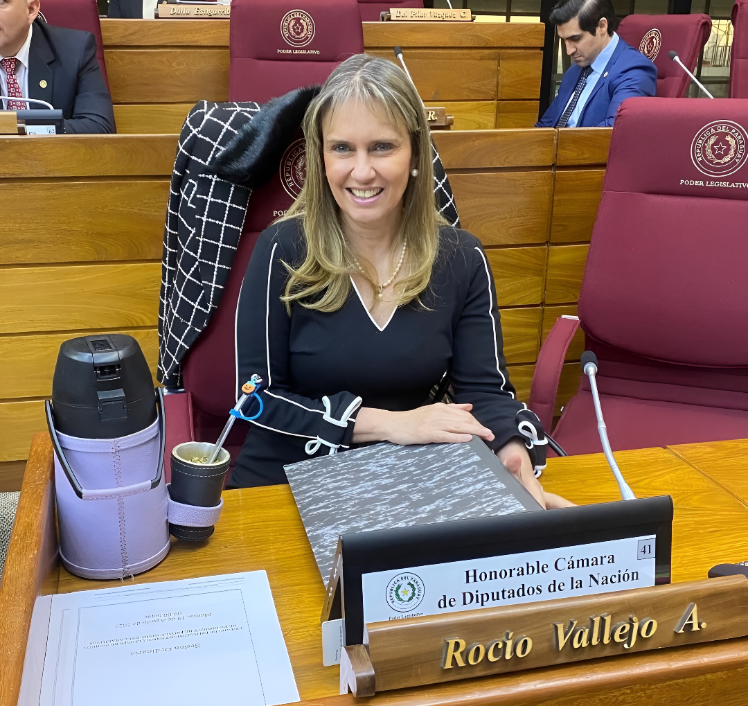 Diputada solicita auditoría profunda y cambio de directivos en el IPS