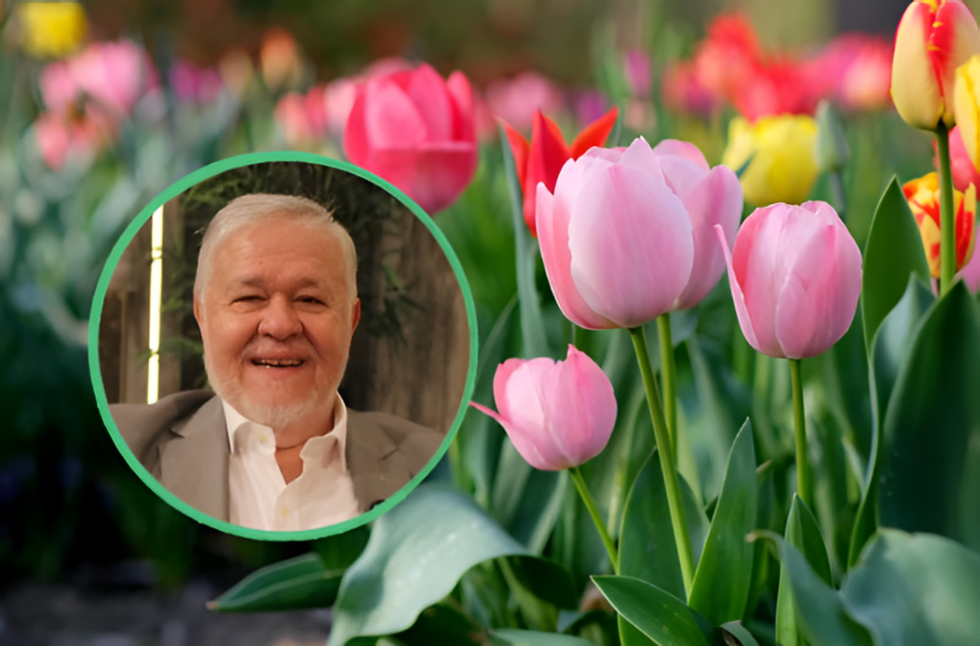 IPS impulsa contrato por USD 6,8 millones para jardinería y limpieza en 30 sedes del país