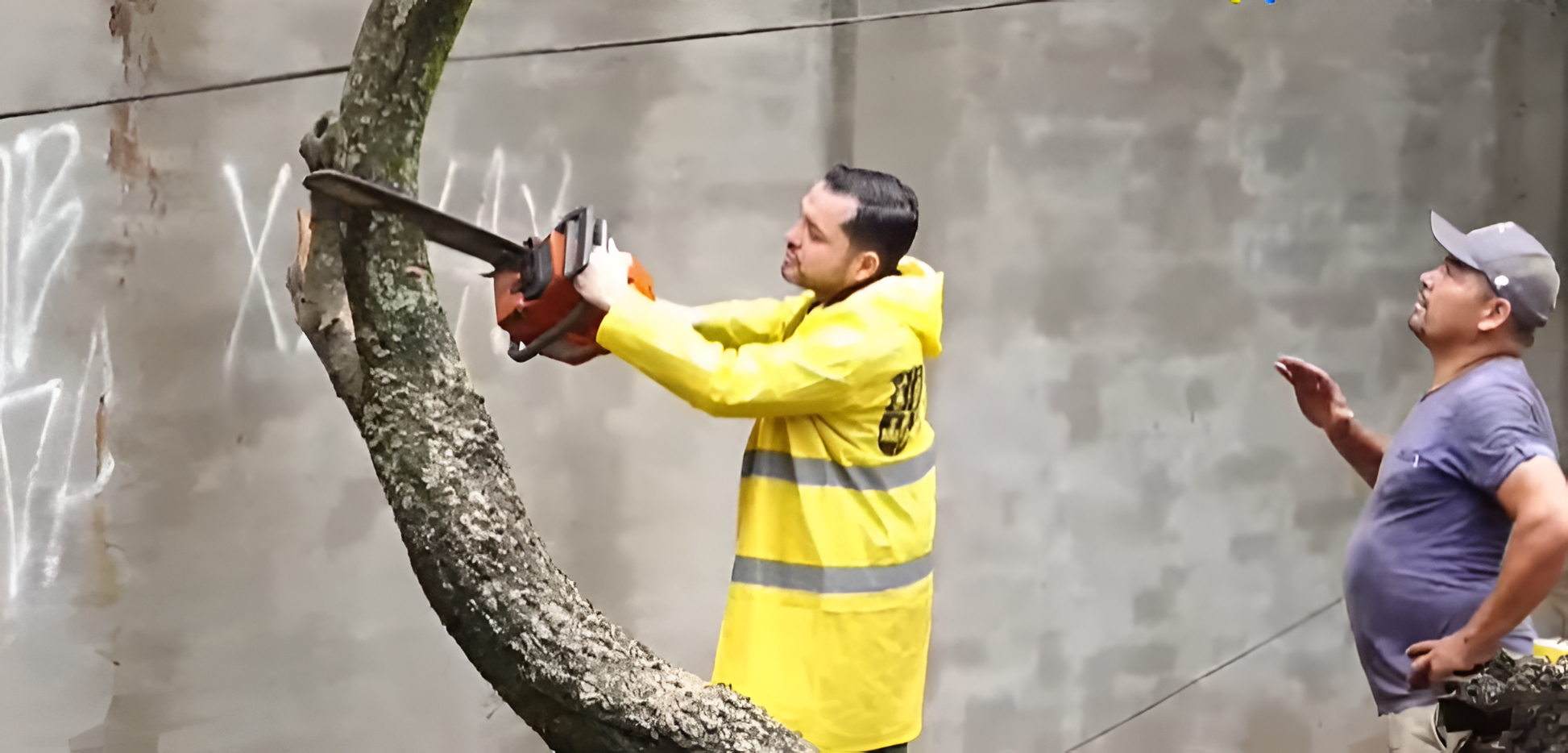Luis Bello aparece cortando árboles luego de la tormenta, ¿a cargo de quién queda las decisiones importantes de Asunción?