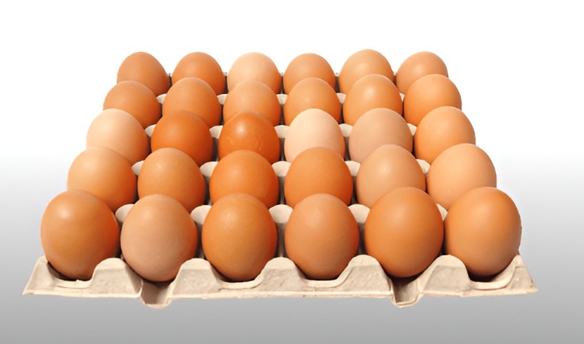 El huevo sube en la previa de Semana Santa y la plancha ya ronda G. 34.000