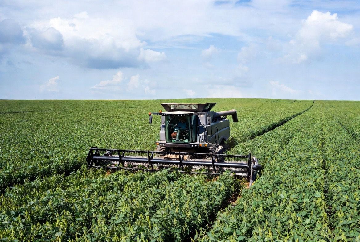 Agroindustria procesa más soja en el inicio de 2026 y recupera actividad