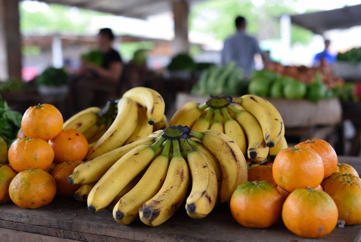 Agricultura familiar activa el mercado y supera los G. 4.885 millones en ventas