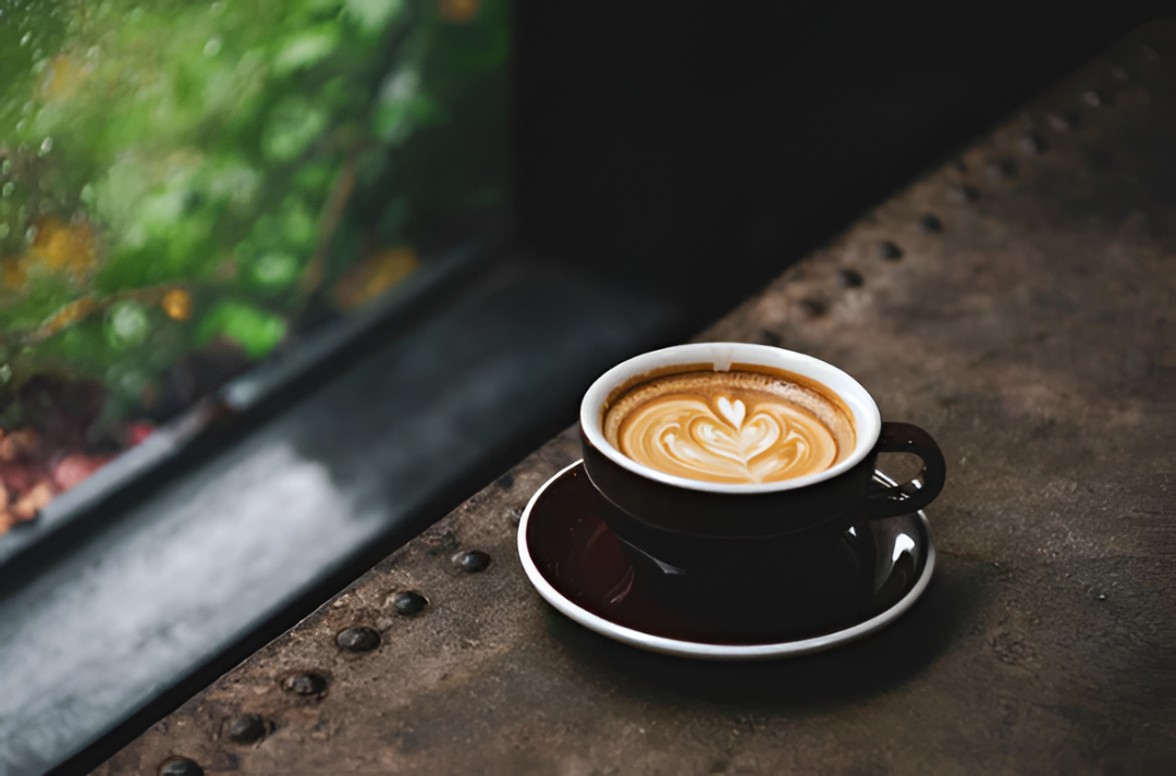 Argentina impulsa producción local de café en Tucumán y proyecta salida al mercado externo