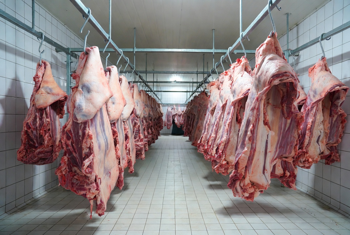 Paraguay actualiza mecanismos de exportación a Europa con certificación electrónica