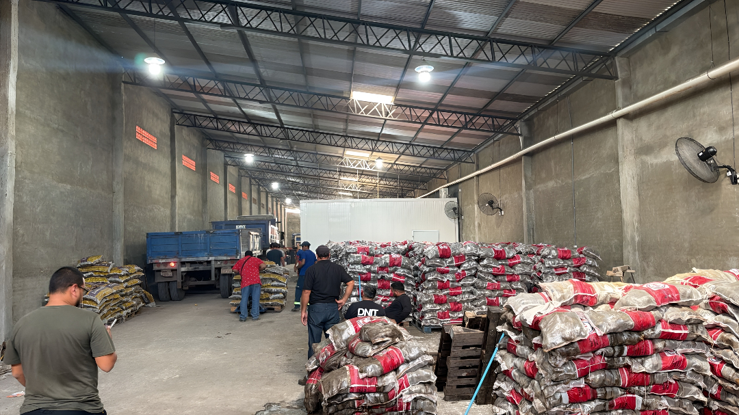 Más de 53 mil kilos de verduras son sacados por la DNIT de un depósito en Fernando de la Mora