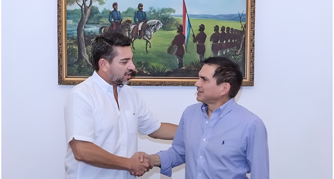 Senadores oficialistas proponen a Baruja como dupla de Pedro Alliana con miras a las presidenciales