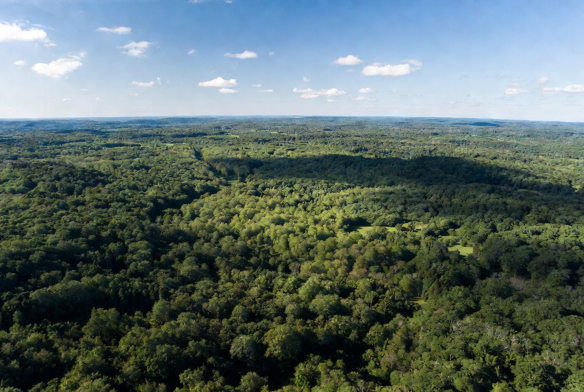 Programa Paraguay Verde supera 145.000 hectáreas certificadas