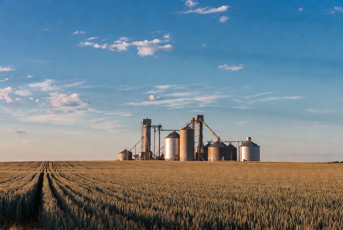 Industrialización de granos rompe récord y cambia el peso del agro en la economía