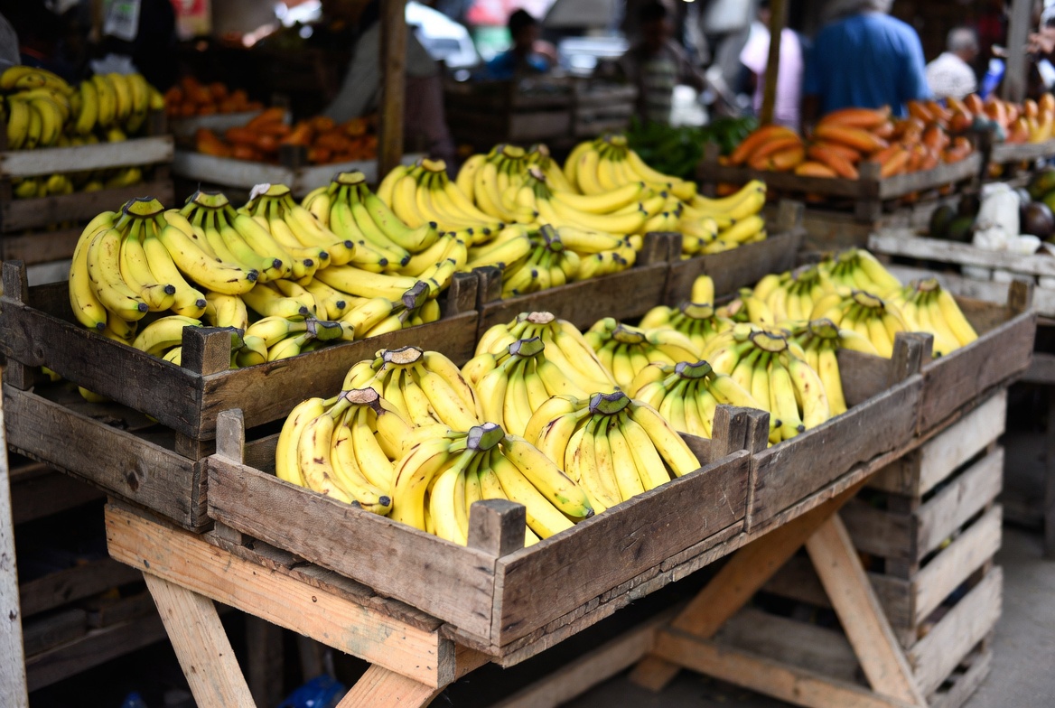 El dólar bajo golpea al sector bananero y presiona a familias rurales