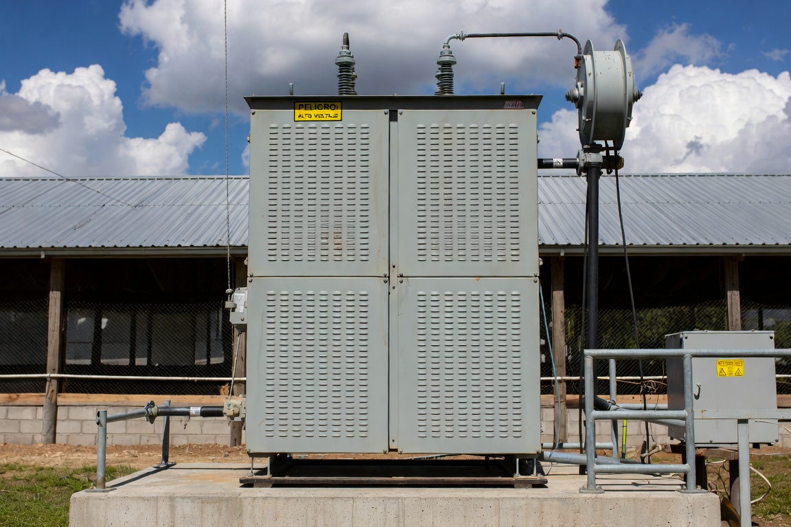 Planta avícola de San Antonio tendrá energía de 6 MVA para mover una producción de 140.000 pollos al día