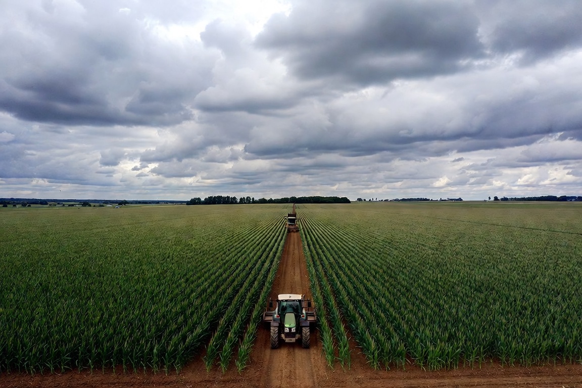 Los precios que reciben productores y fabricantes bajaron 0,8% en el primer semestre por menores valores en el agro y la industria