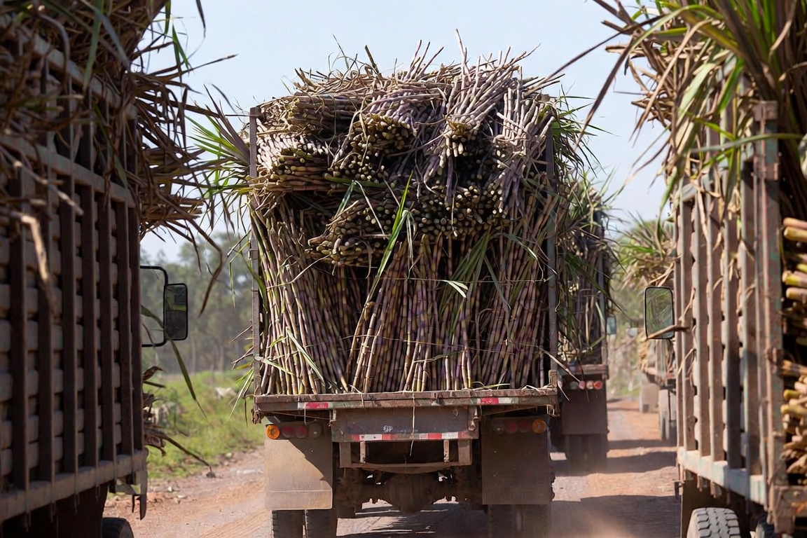 Troche ya molió 197.023 toneladas de caña y produjo 10,4 millones de litros de alcohol en 82 días de zafra