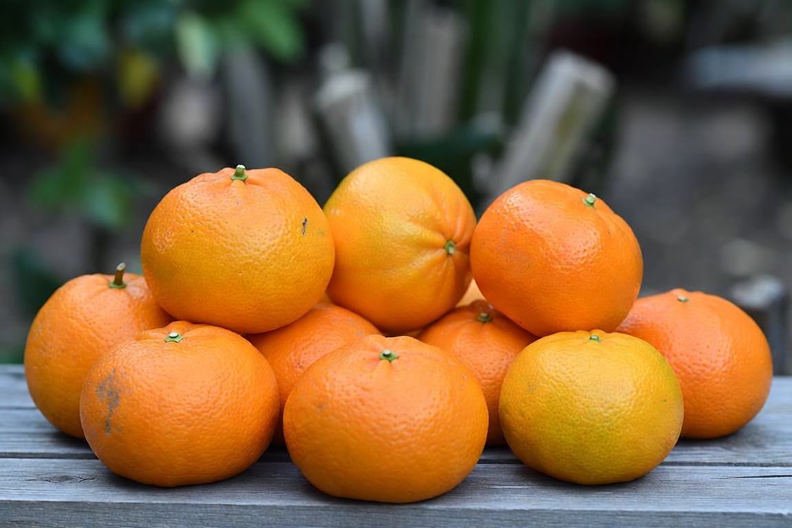 Hambre Cero compra 5.000 kilos de naranja a productores de la agricultura familiar y mueve ingresos para familias rurales de Maciel