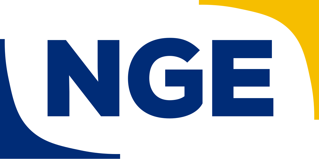 TNP logo in color
