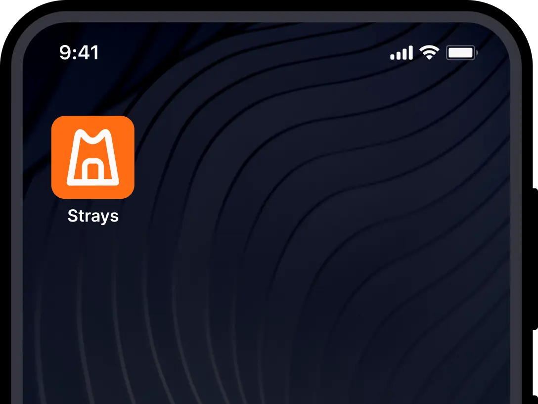 Screen of cellphone with icon of app strays