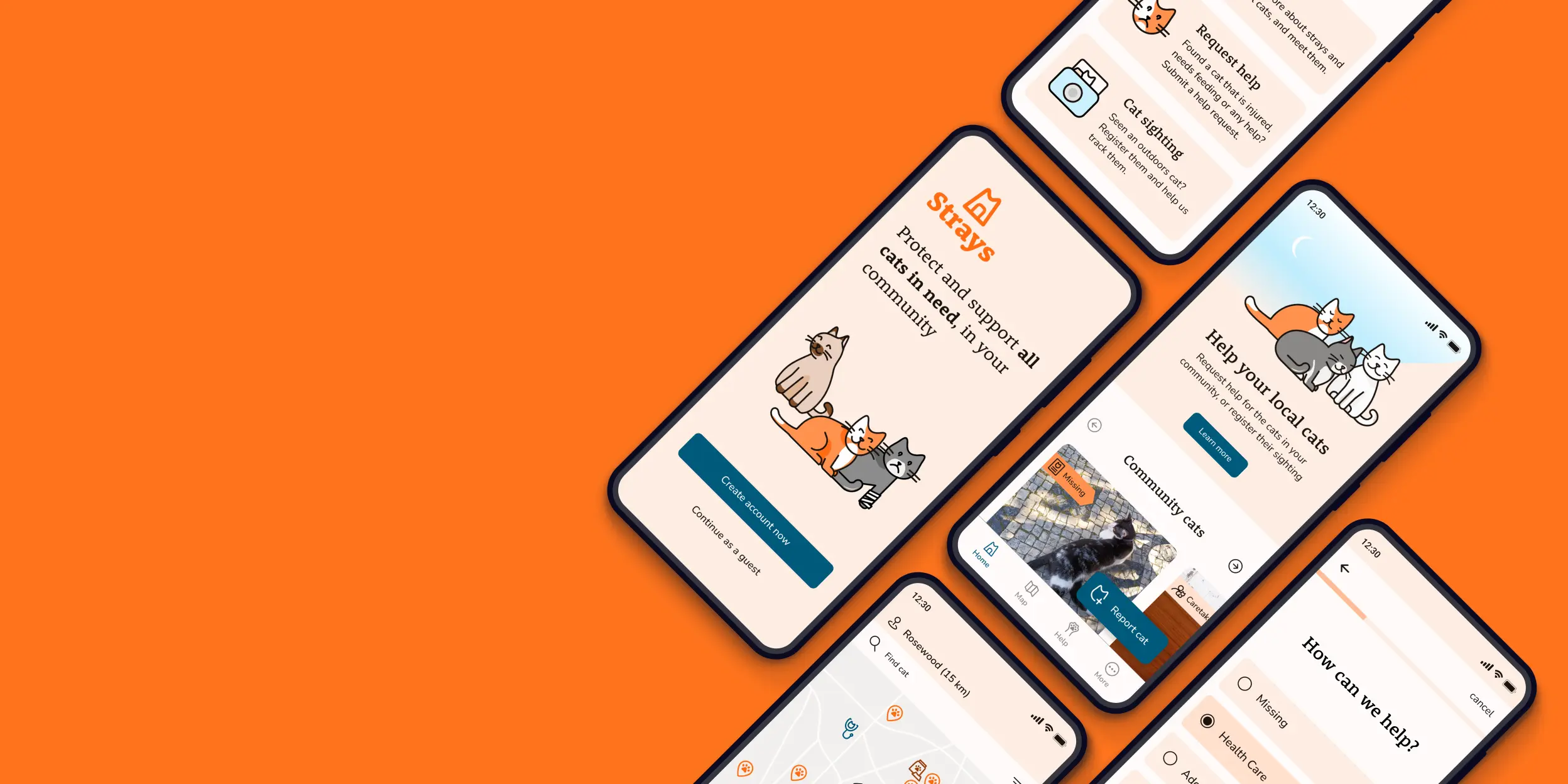 Cellphone screens of app for local cats