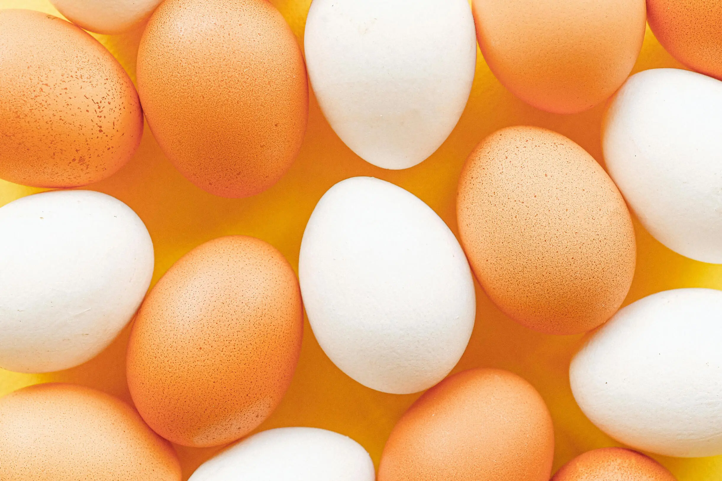 eggs with blue ribbon in the middle