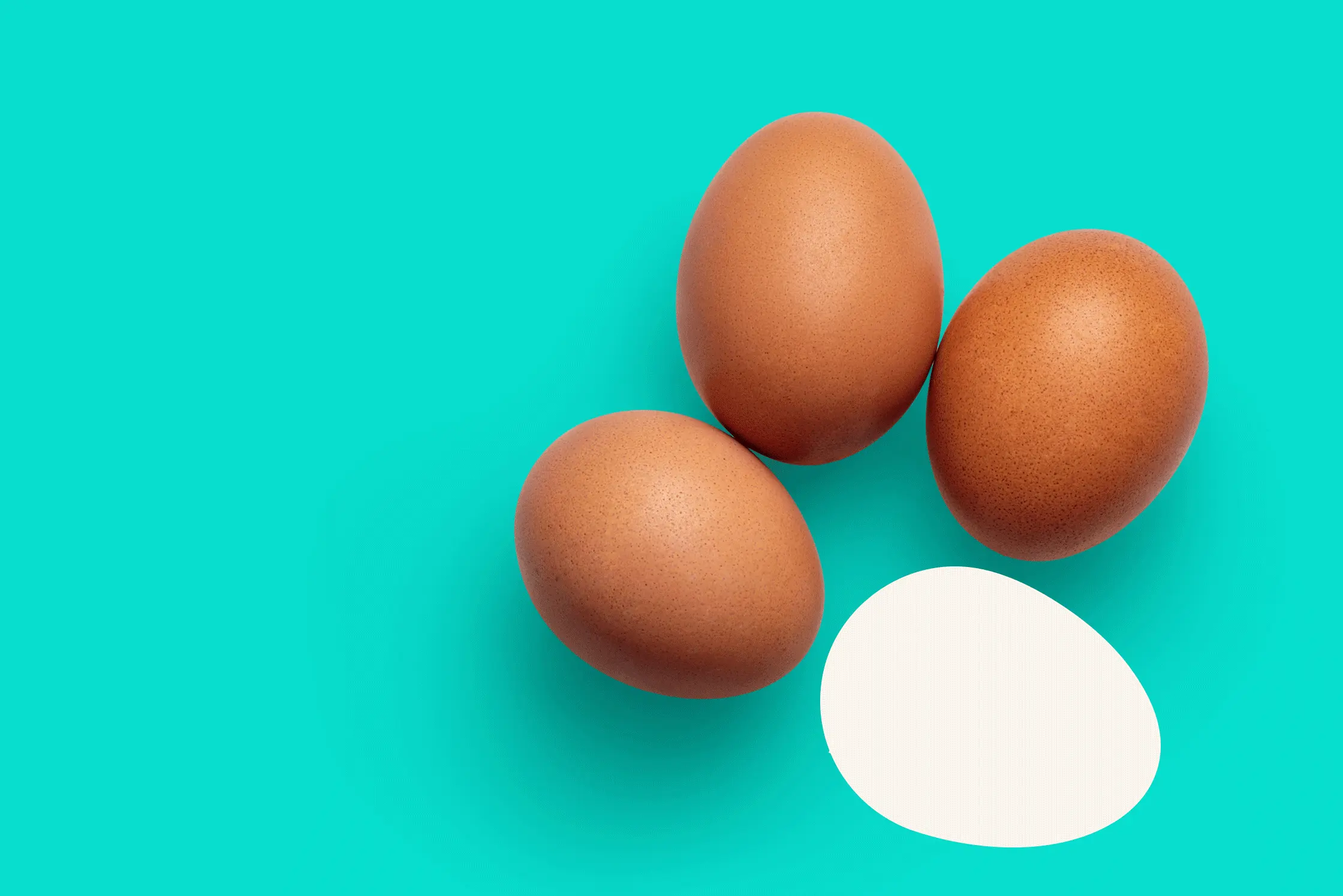 four eggs on blue background