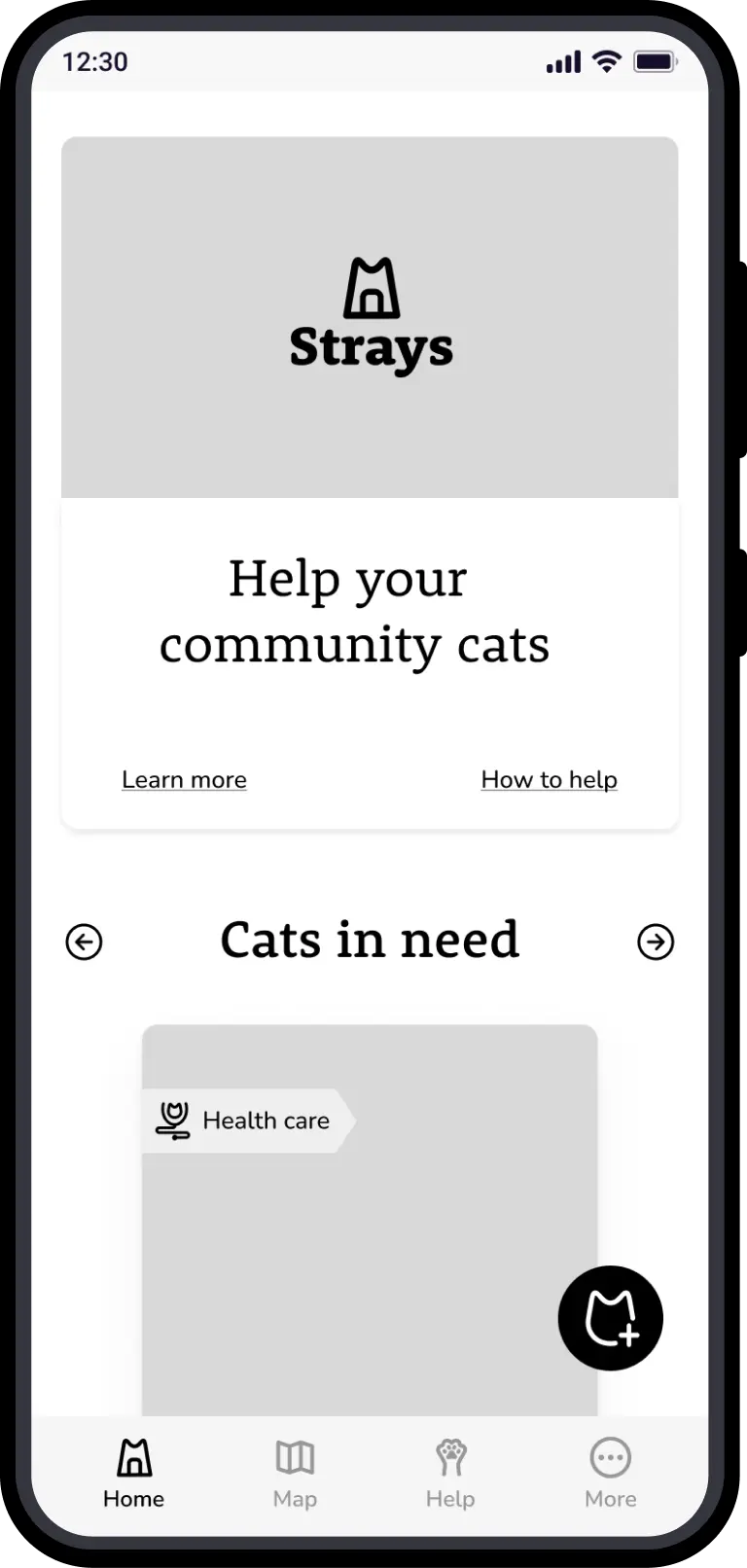 Wireframe homepage strays app