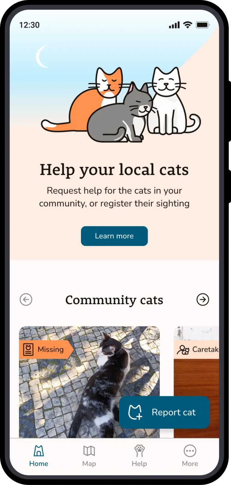 Homepage Strays app