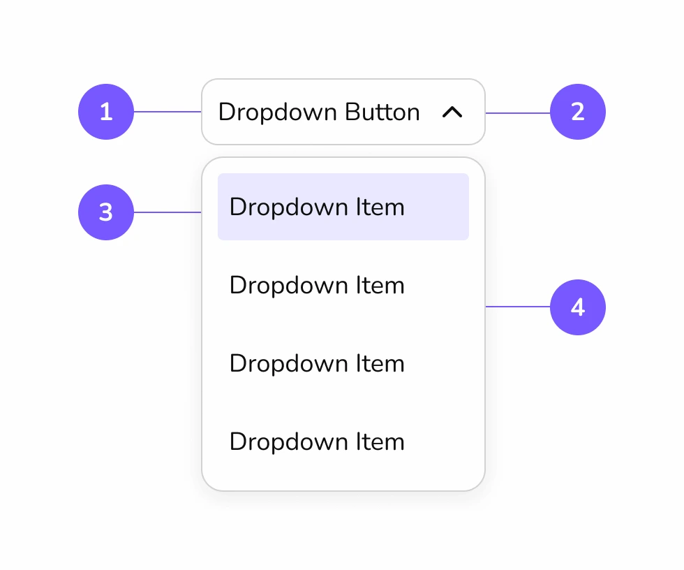 Dropdown anatomy