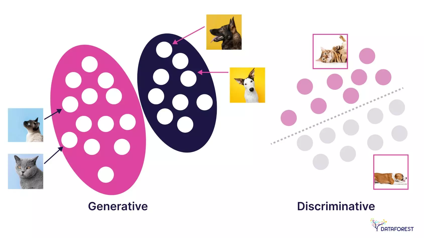 Generative and Discriminative Models in ML