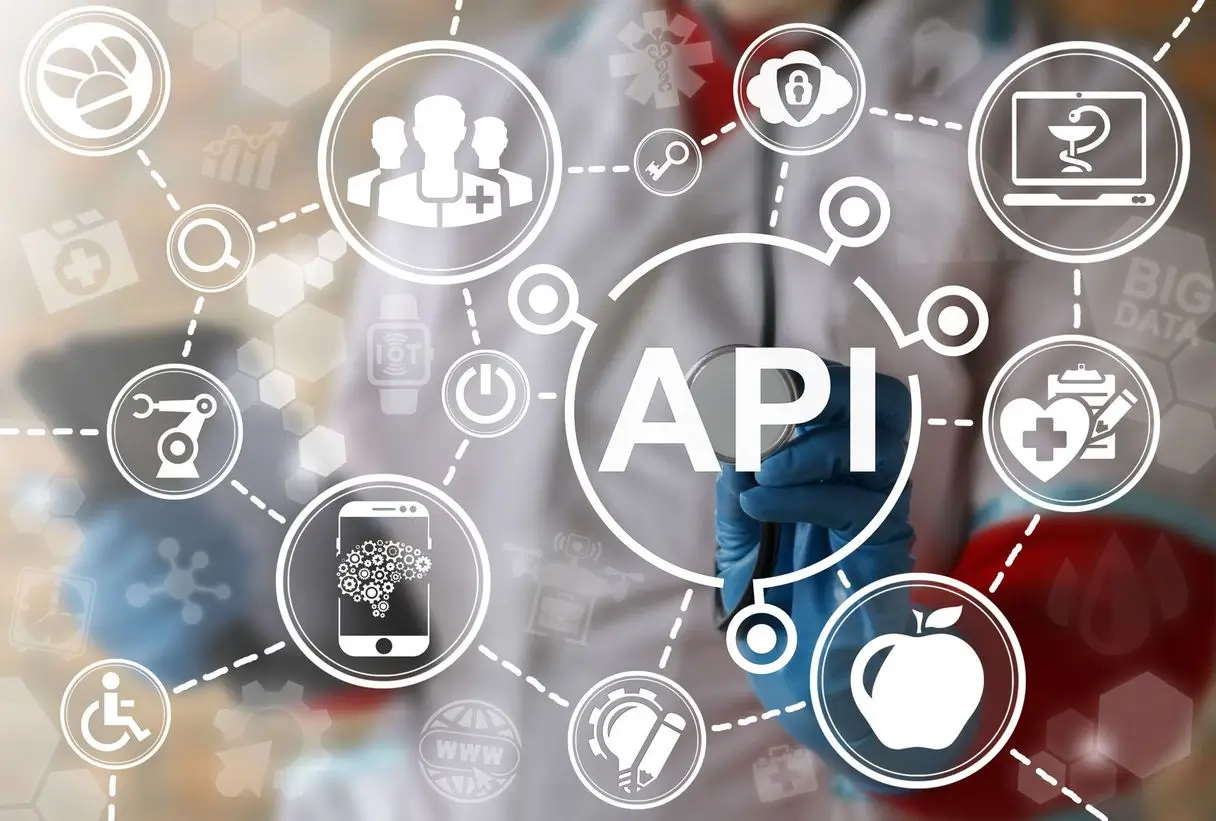 Disadvantages of E-commerce APIs Integration