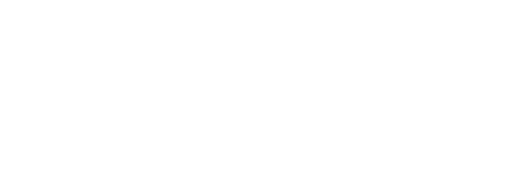 Schox Patent Group Logo