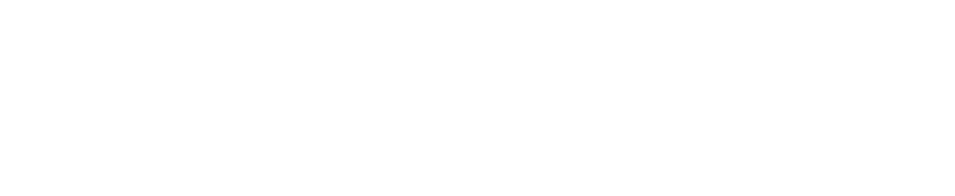 Segment