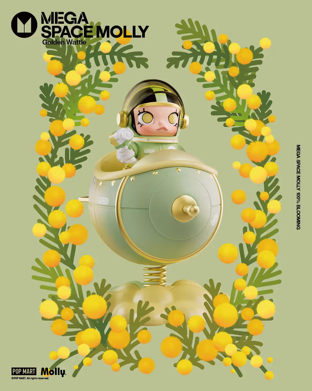 Golden Wattle