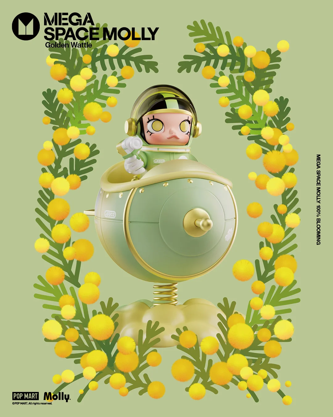 Golden Wattle